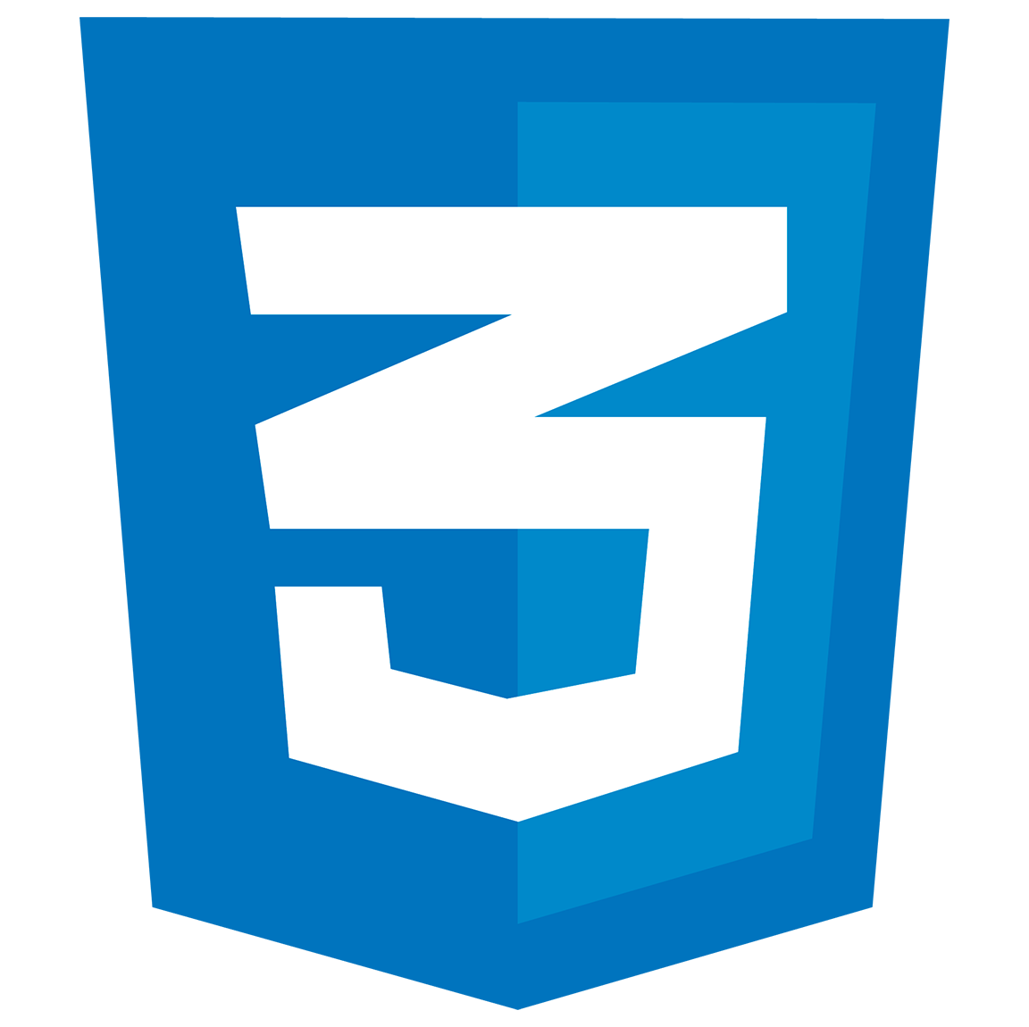 CSS Icon